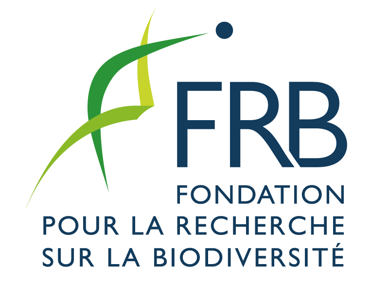 frb-logo_2016.png;jsessionid=4gVsl9g6yYb8DtpjlIi_i0Qc.java8-dev