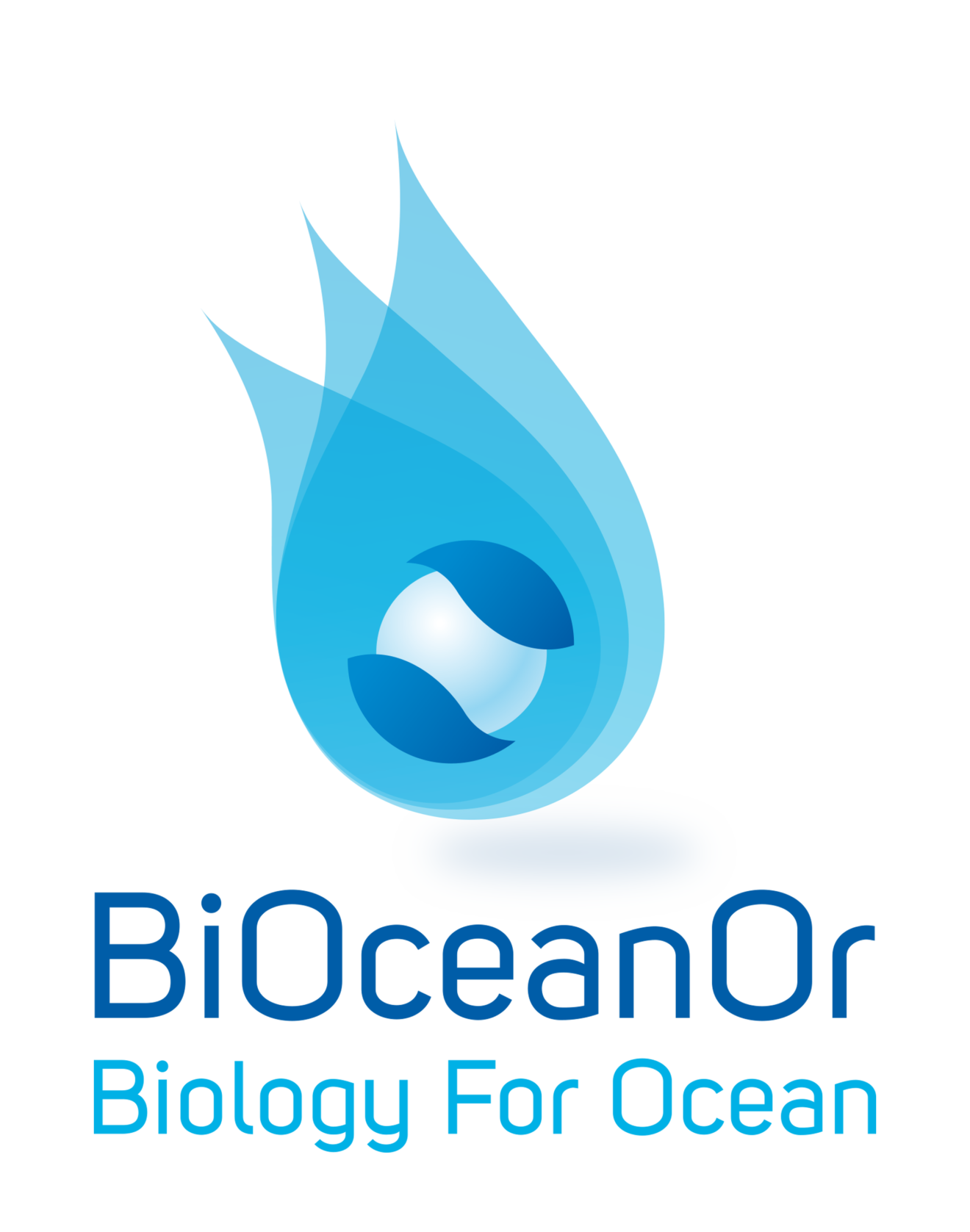 Logo Vecto Bioceanor OK