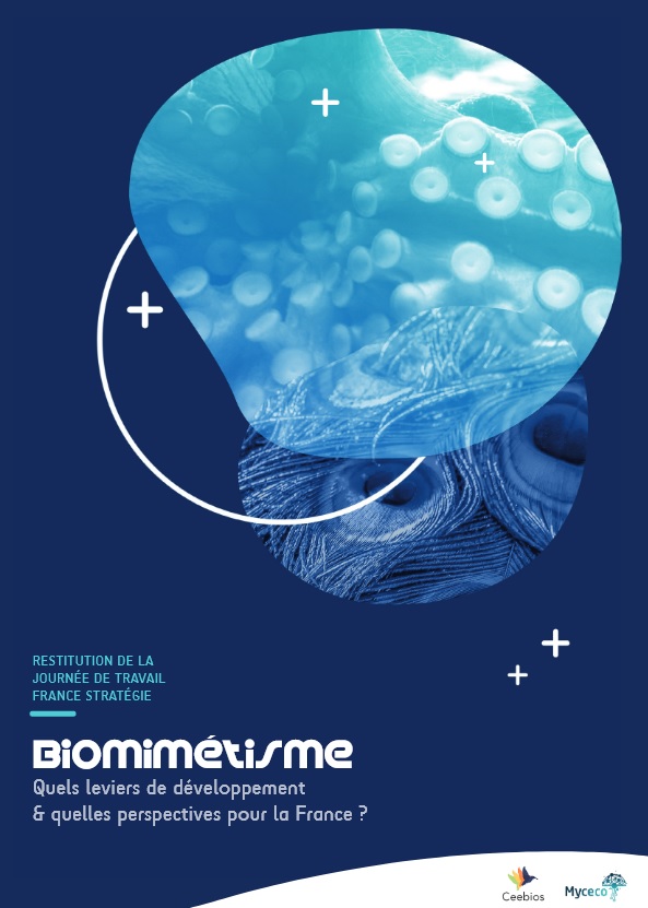 biomimetisme 2020