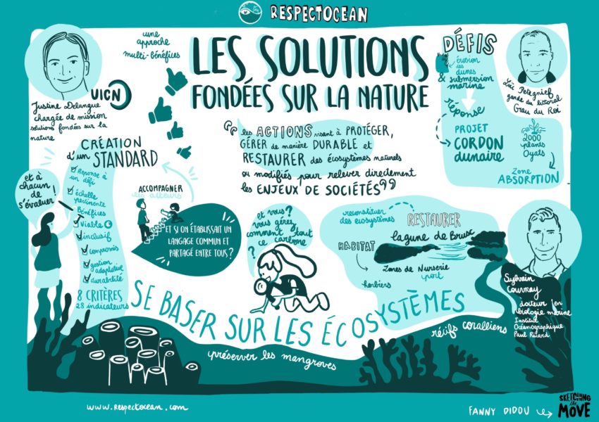 Les Solutions fondées sur la Nature : présentation du standard de l’UICN et exemples de projets, 21 janvier 2021